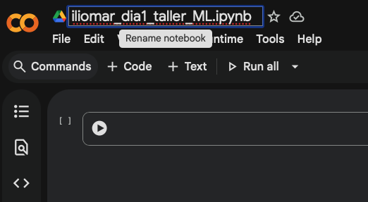 El nombre debe ser descriptivo, corto y utilizar preferiblemente minúsculas, separando palabras con guiones bajos.