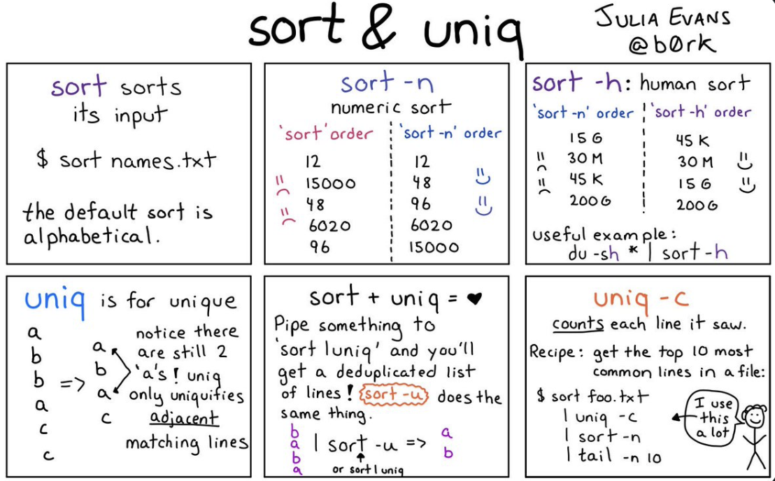 sort & uniq